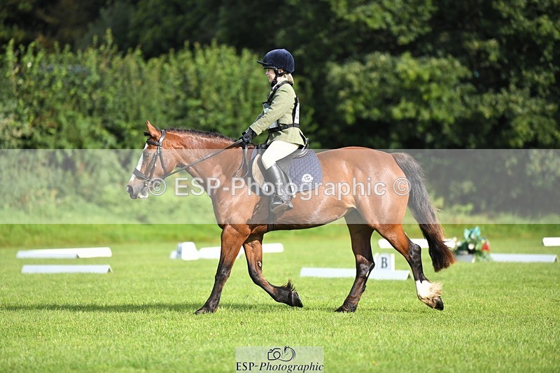 230826-090316-15012 - Sections C & D 9 to 10am