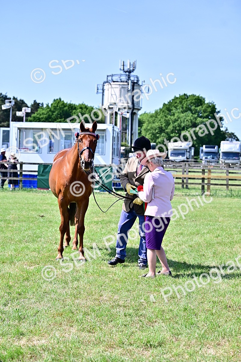 SBM_12868 - Class 98 - Retraining of Racehorse In Hand