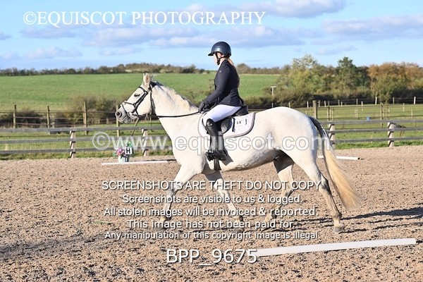 BPP_9675 - SHORT ARENA