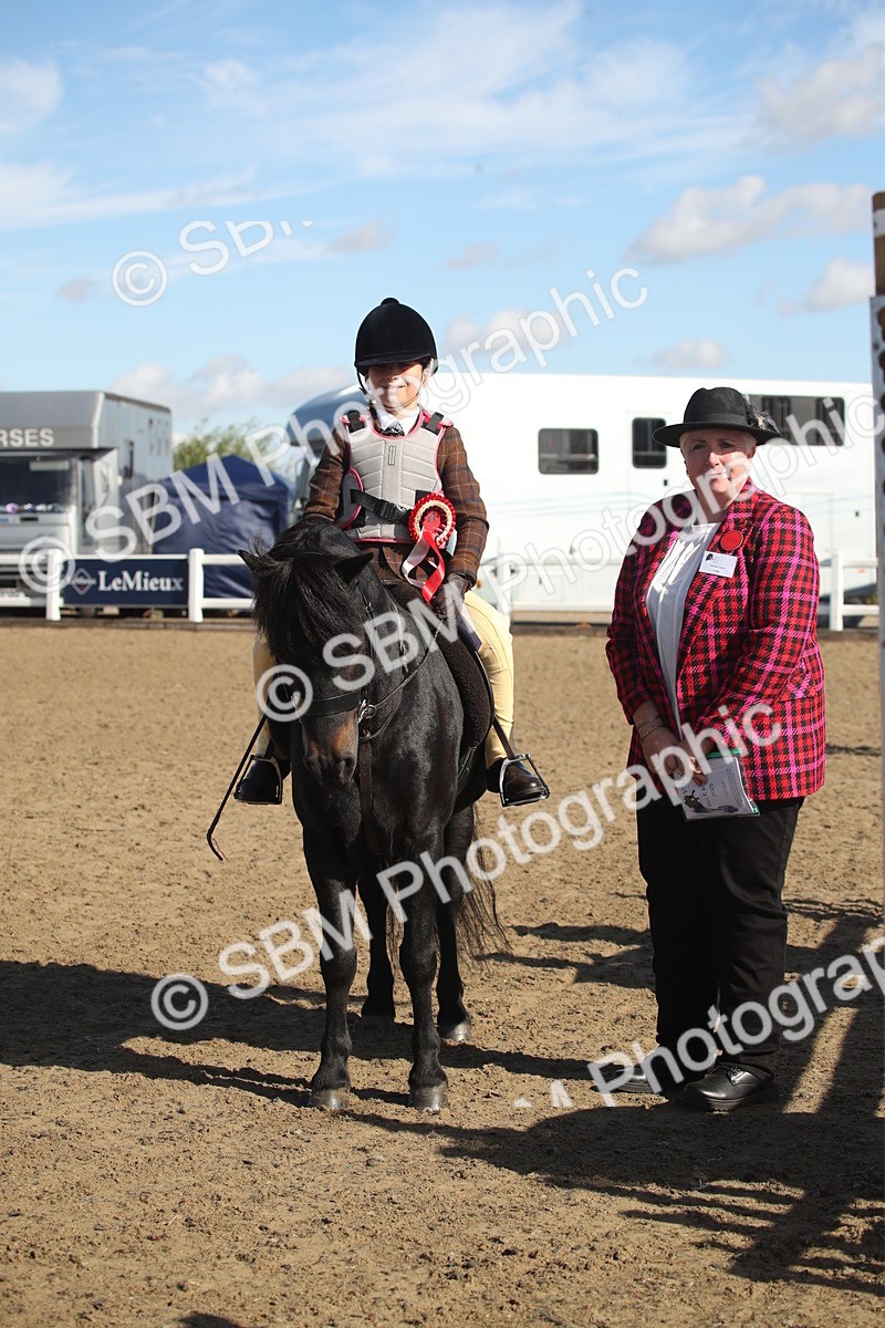 SBM_12696 - Class 504a - Junior Working Veterans - 40cm (15-19)