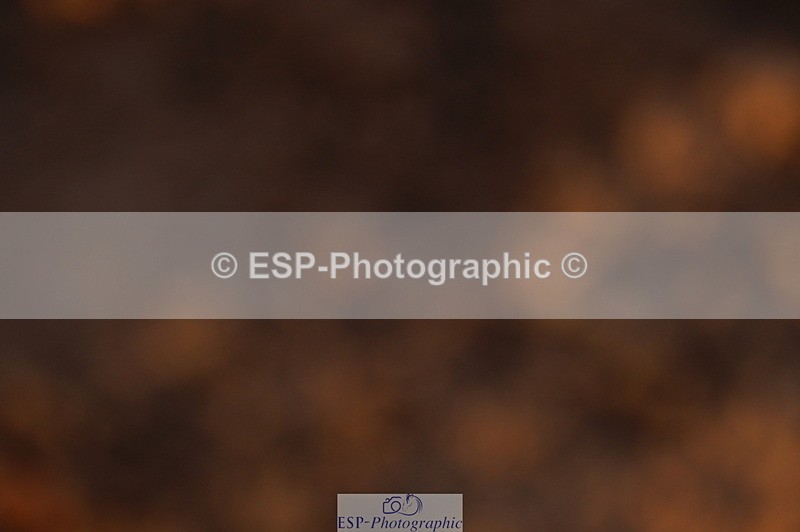 240628A-202114-01293 - Cls 4 1.10m Open