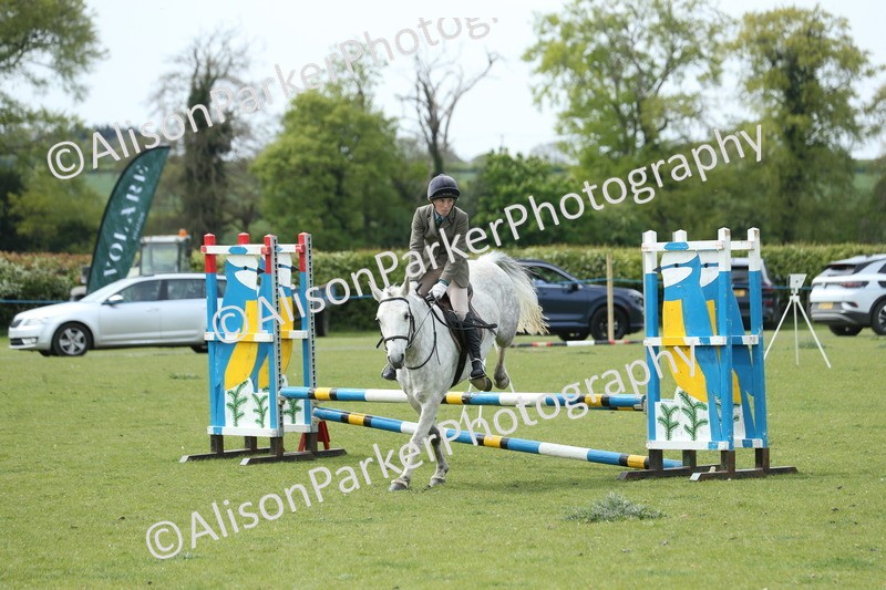 20260426-2099 - Class 15 - Absolute Novice 70cm