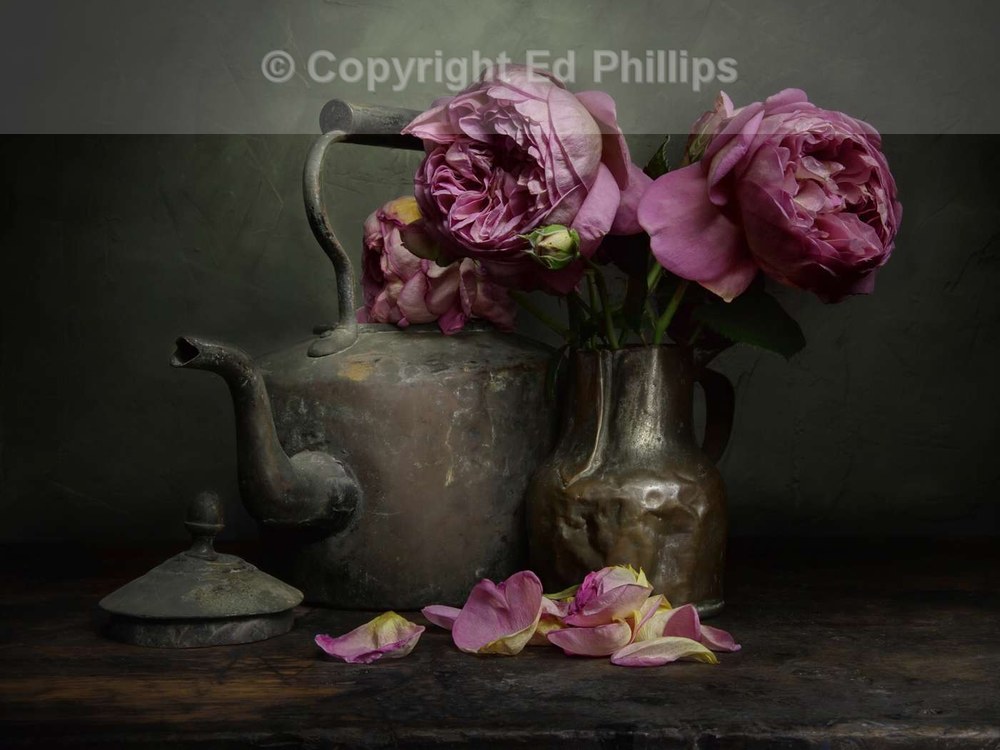 Rose Petals