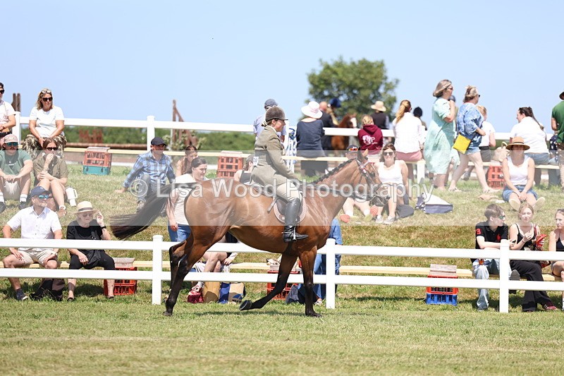 3E7A9325 - Class 12: Open Racehorse to Show Horse