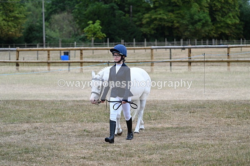 WJ7_8026 - Class 4 Prettiest Mare up to 14.2hh