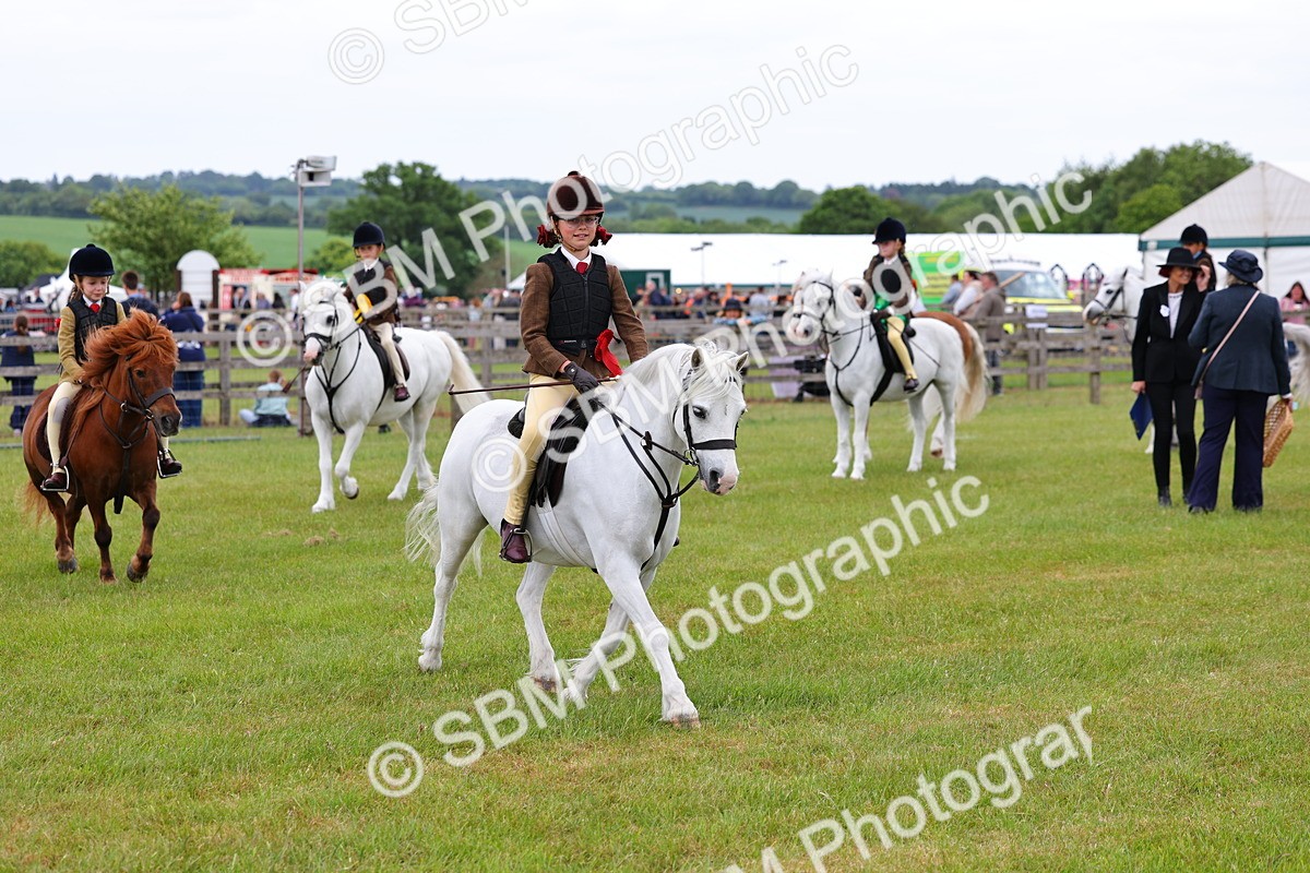 SBM_08876 - Class 42-43 - LIHS BSPS Heritage Working Sports Pony