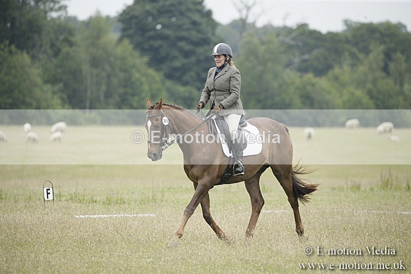 B230619-0783 - Bourne Valley Riding Club Summer Show 23/06/19