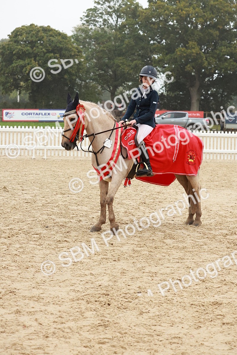 SBM_73524 - Supreme Championship Junior Pony 60cm & 65cm