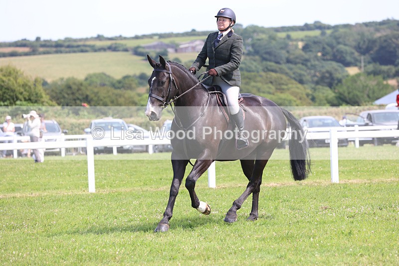 JPP_3593 - Class 23: Working Hunter 80cm