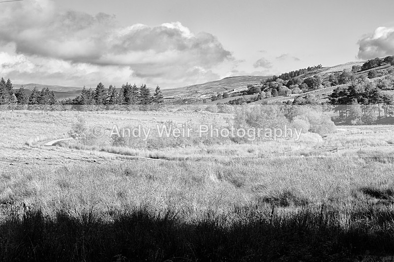 20141010-3K8A6527-3109 - England