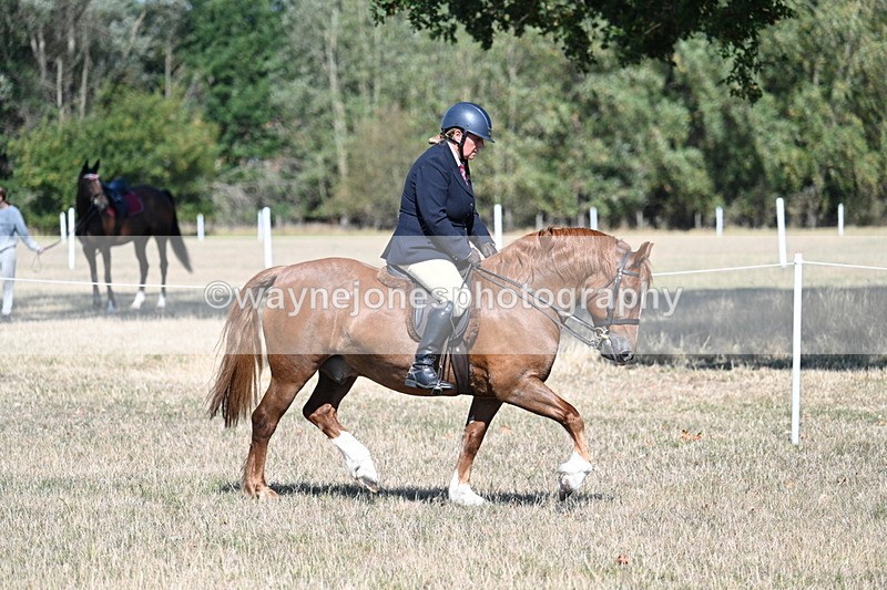 WJ7_3844 - Class 9 Mountain & Moorland Ridden