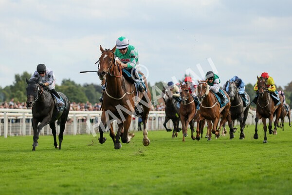 yr04092022r6-31 - Race 6 4.40pm Hanson Springs Stakes