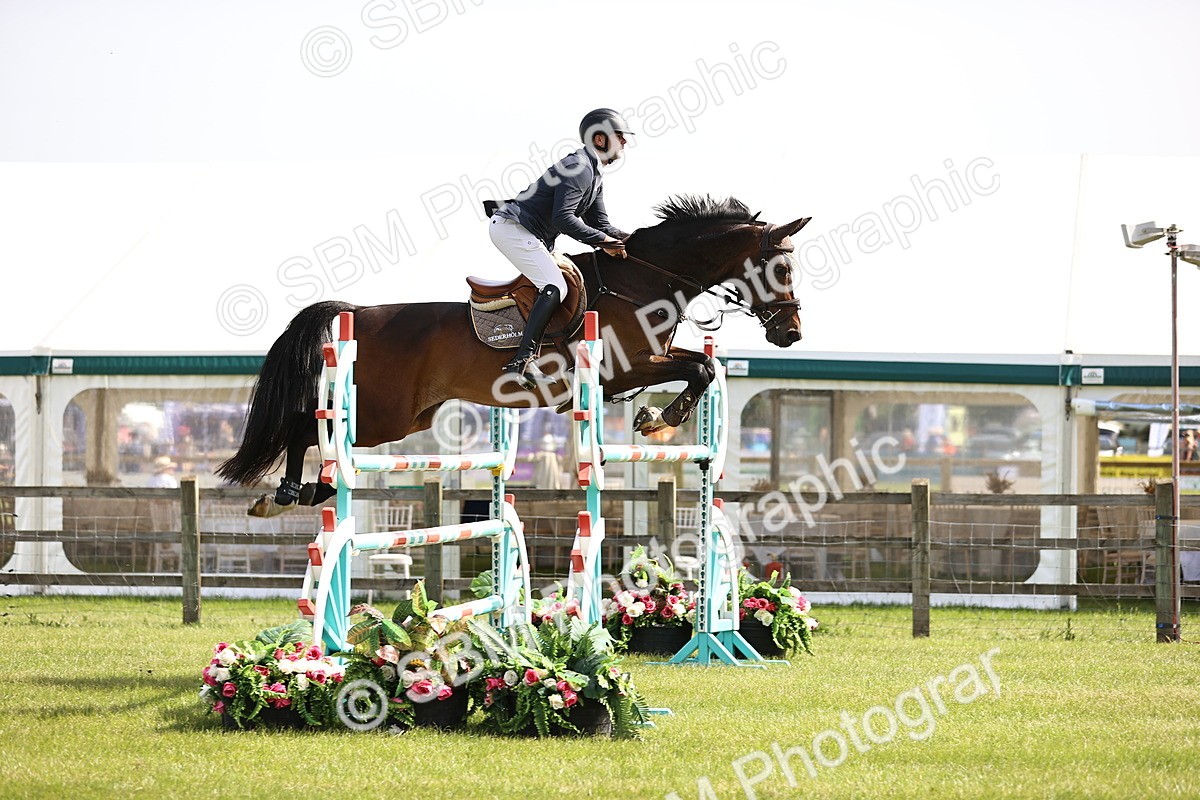 SBM_03017 - Class 201 - British Horse Feedds Speedi Beet HOYS Grade C