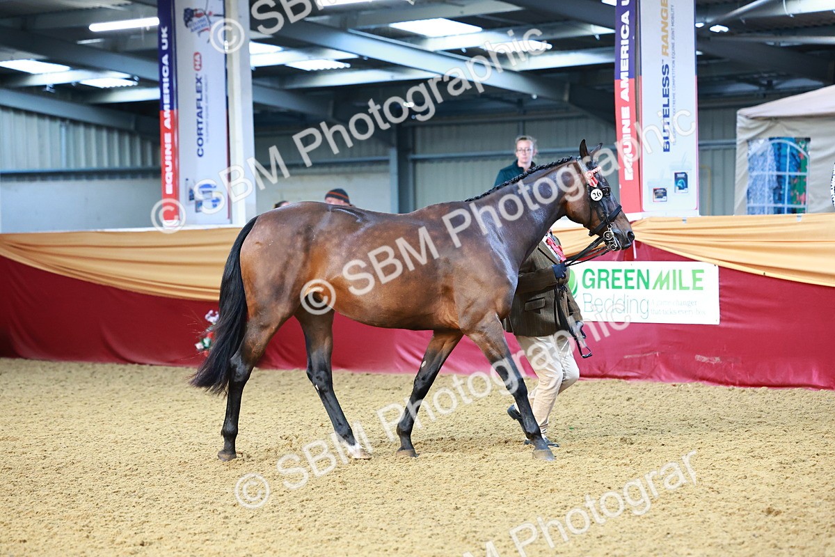 SBM_21747 - Class 901 - Supreme Final - IH  Diamond