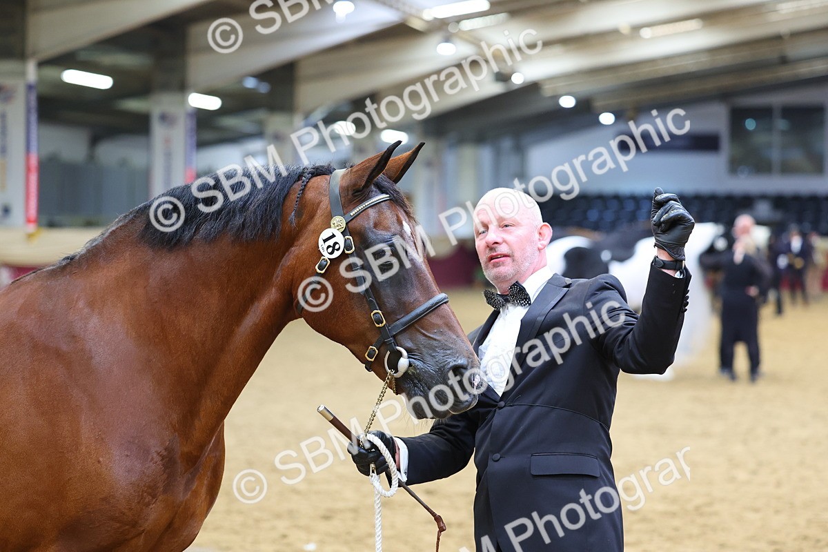 SBM_22705 - Class 903 - Supreme Final - IH Pre Vet