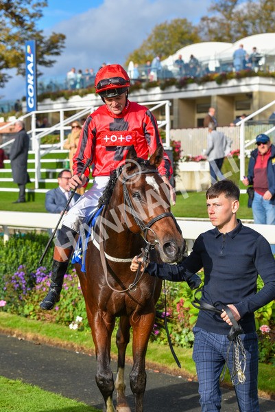 141023-Race 4-Colorada Dancer-1252 - Race 4 3.05pm Coral Racing Club EBF Maiden Stakes