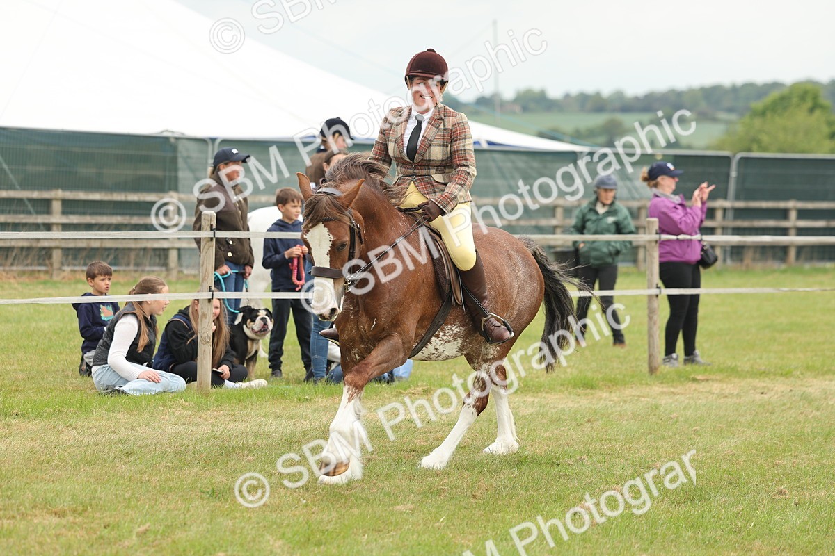 SBM_07214 - Class 76-77 - Ridden M&M Welsh Ponies
