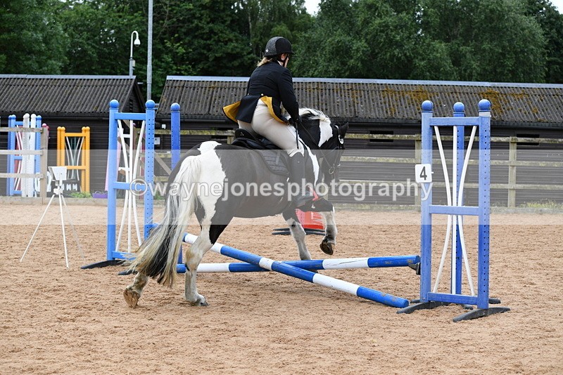 WJ5_6193 - Club 50cm