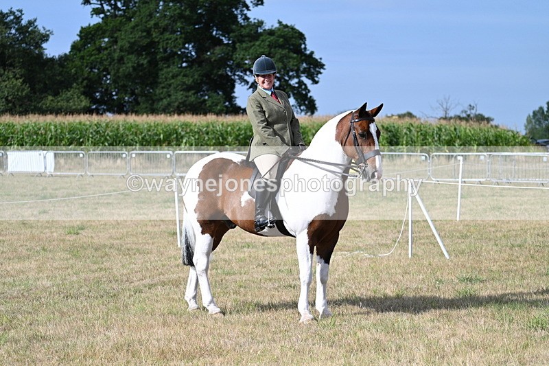 WJ7_2607 - Class 8 Ridden Tack & Turnout