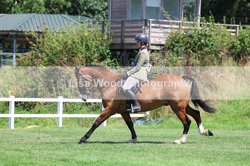 3E7A9193 - Working Hunter Championship