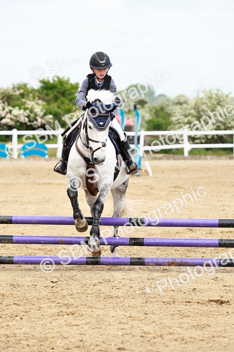 SBM_008085 - Class 3 - 60cm