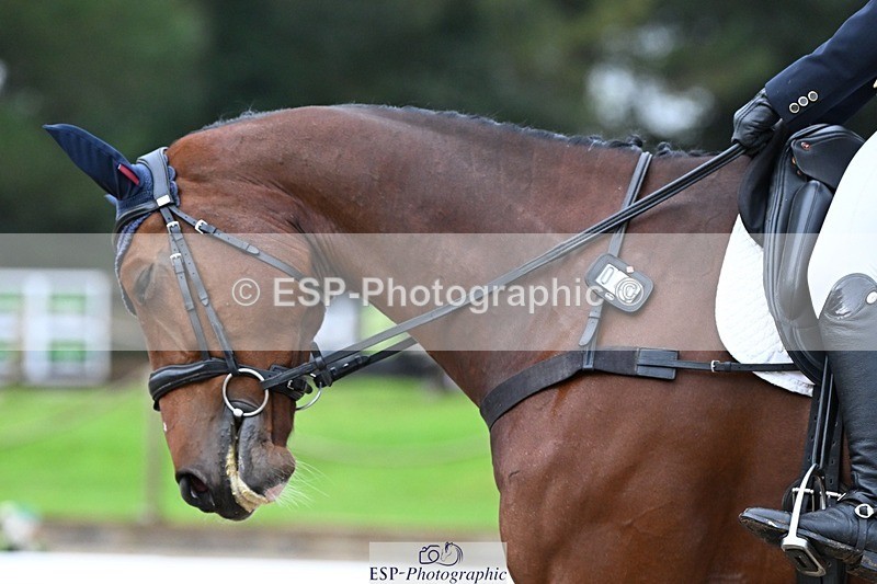 231019-113721-01862 - 040-DODINGTON-Sophie.Wildern-DR