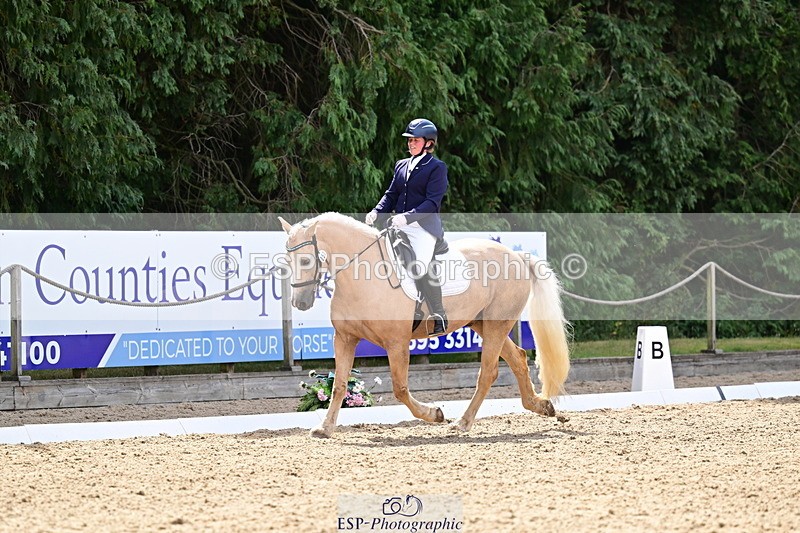 260802A-111500-05754 - Novice Silver break - break