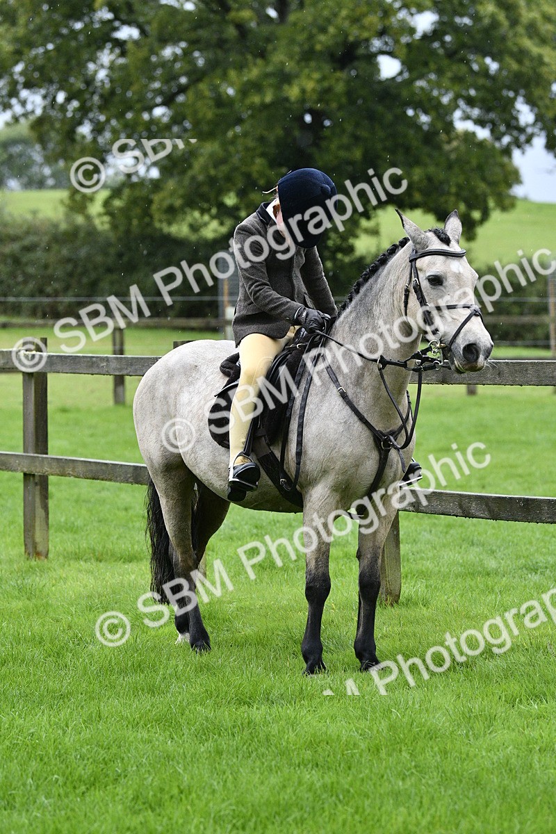SBM_35554 - S30 - Nursery Stakes Working Hunter Pony
