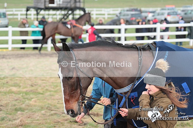 PtP 311223 176 - Larkhill Racing Club Point-to-Point 31/12/23