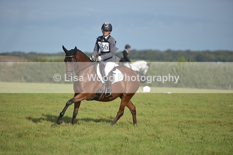 RAY_7577 - Class 2B: Trekenning Open: Dressage