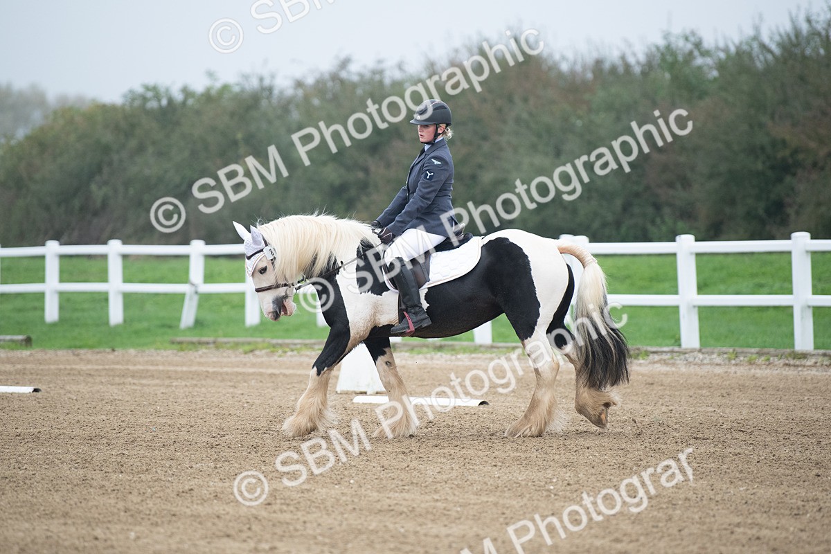 SBM_003366 - Introductory Test 3
