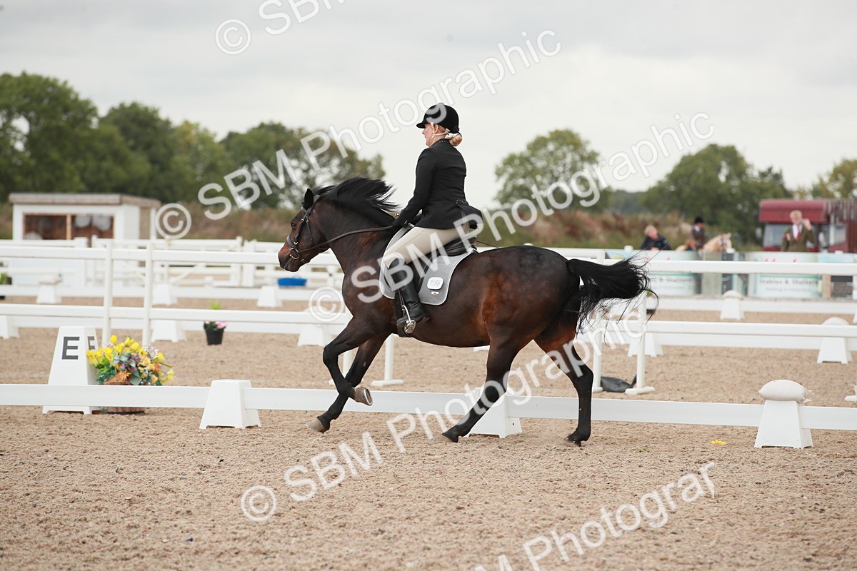 SBM_03751 - Class 31 - Prelim 1