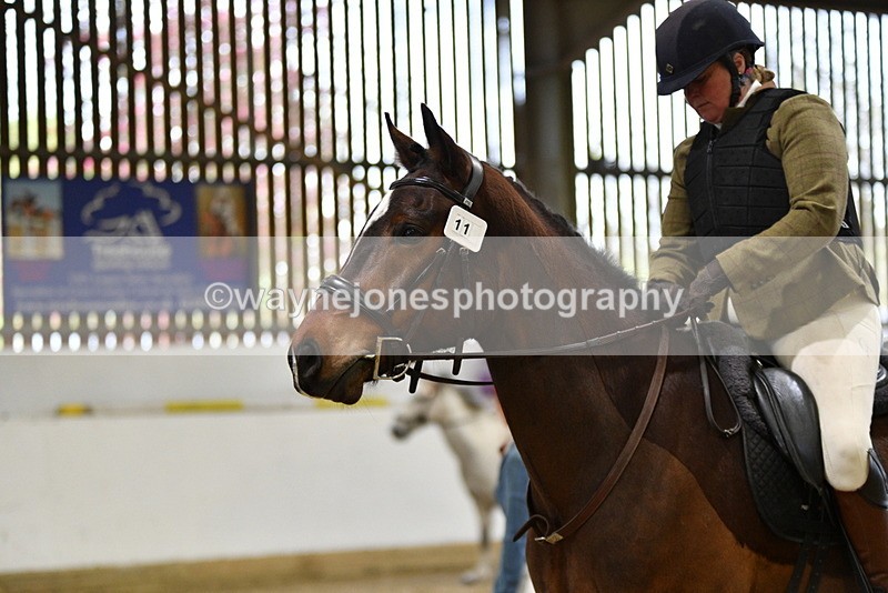 WJ5_7931 - Class 13 Ridden Part Breed