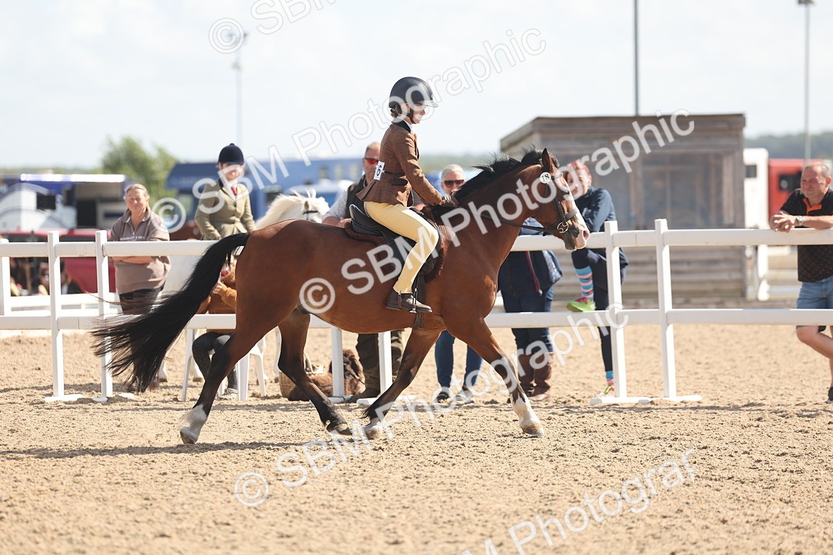SBM_23101 - Class 806 - Young Rider 10ry and Under