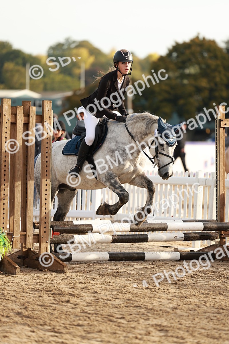 SBM_55478 - J11 - Junior Pony 50cm Championship