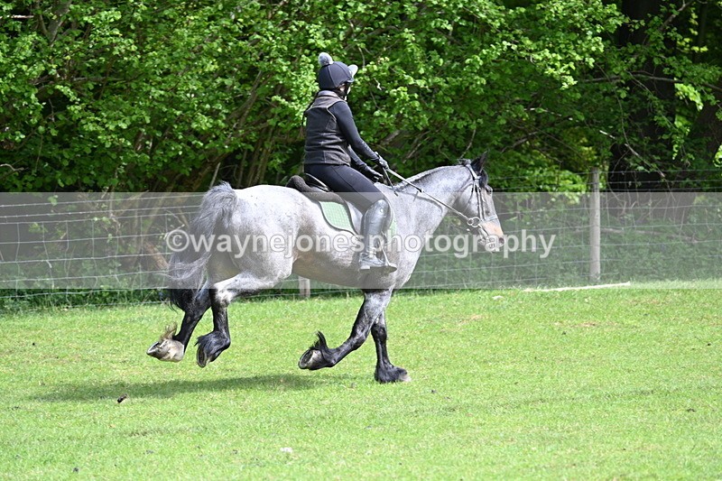 WJ7_2086 - Group 2 A&B Cameras