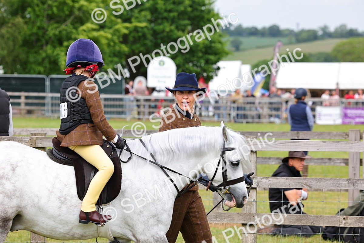 SBM_08277 - Class 42-43 - LIHS BSPS Heritage Working Sports Pony