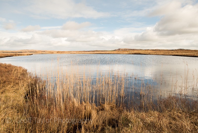 Loch Hempton - Wigtown Reader's Retreat