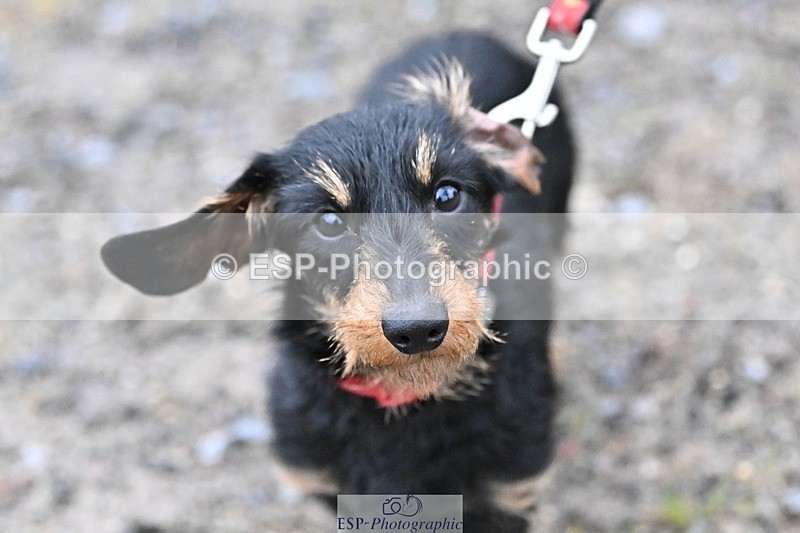 241206-144205-01121 - Naomi