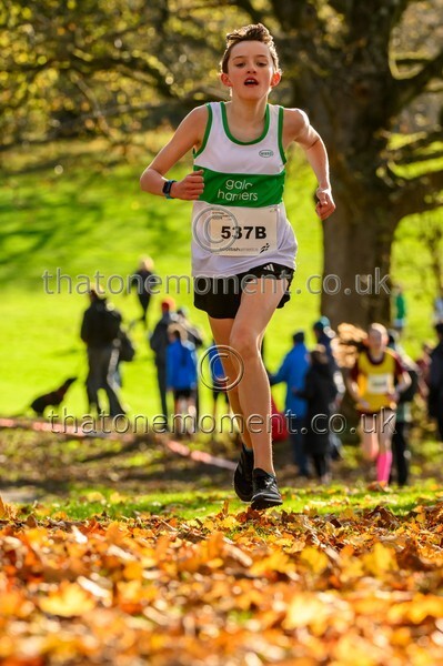 NatRel25-925010 - Young Female Set One