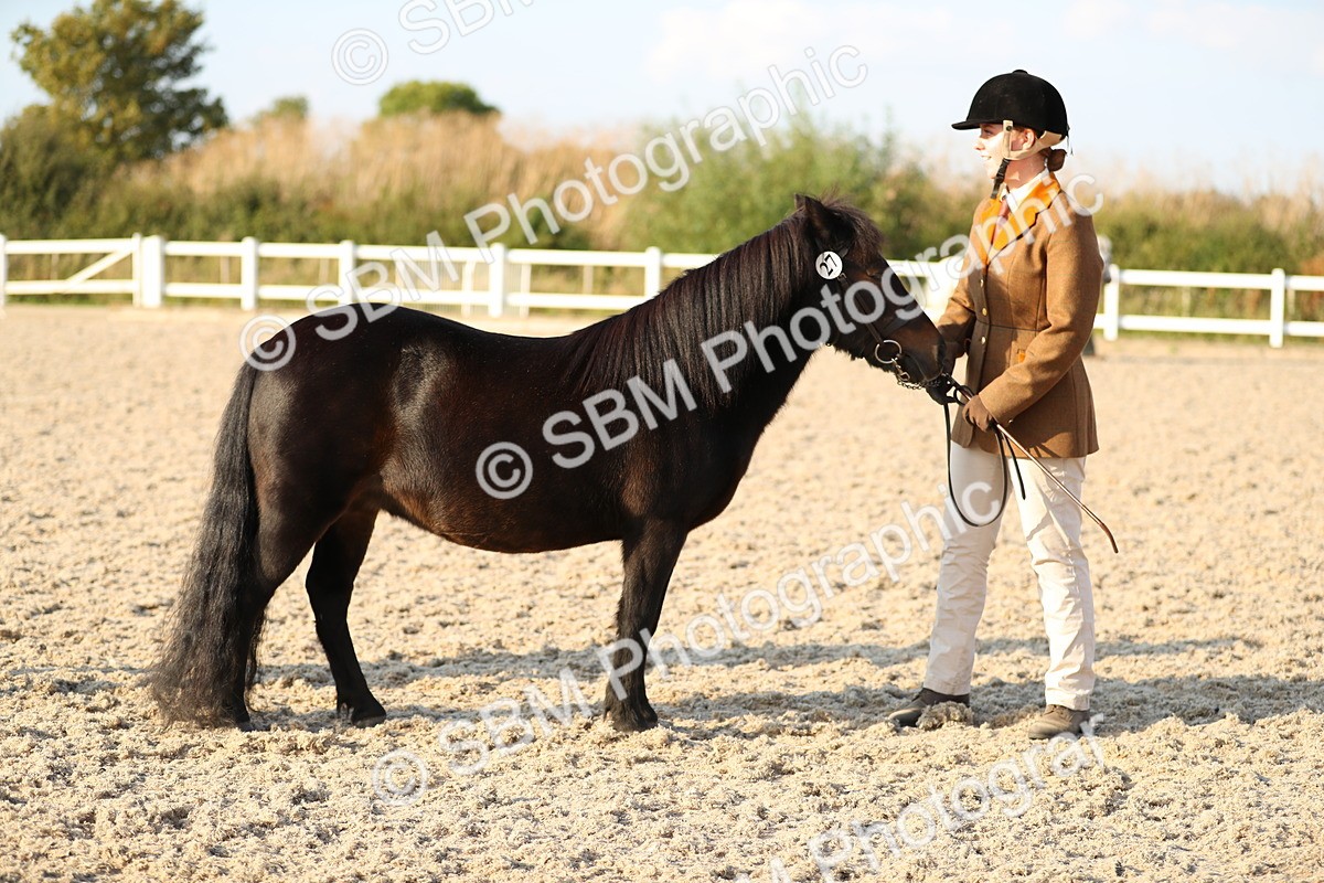 SBM_09030 - Class 29 IH Veteran Pony