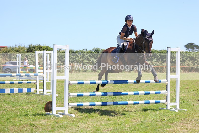 3E7A5681 - Class 9: Senior British Novice/90cm open