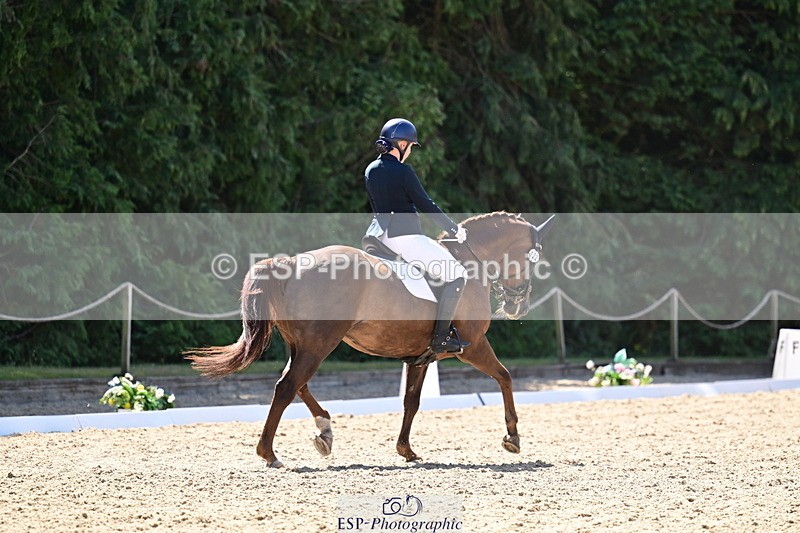 260731A-112428-00339 - Elementary Bronze 10.30 - Break