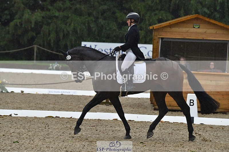 231018-154250-00855 - 012-ROMANY.CRICKET-Nana.Dalton-DR