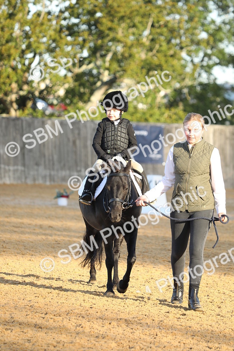 SBM_33571 - D26 - Starers - Lead Rein