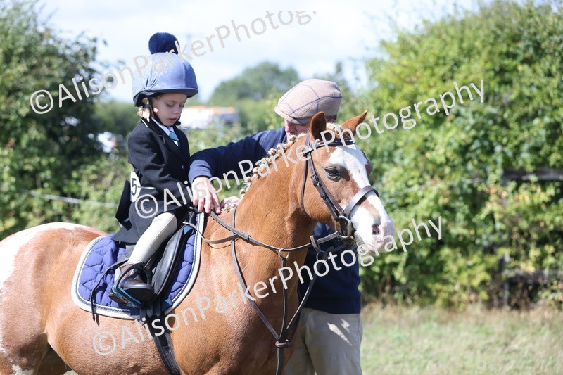 20250831-3183 - Class 24 - Absolute Beginners Pony