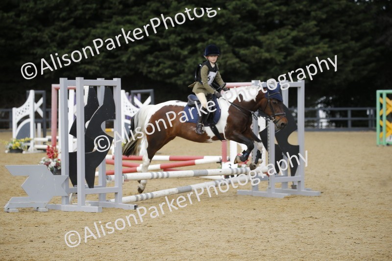 20250622-3784 - 50cm