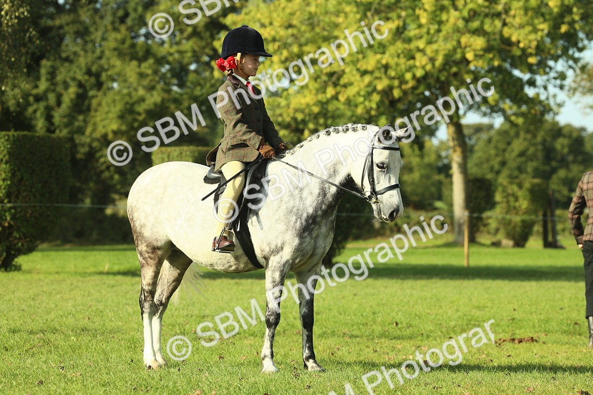 SBM_59209 - S38 - Starters Ridden Showing