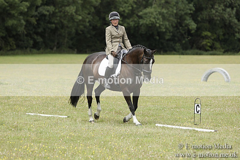 BVR160717-2079 - Class 4 & 5 Dressage 16/07/17