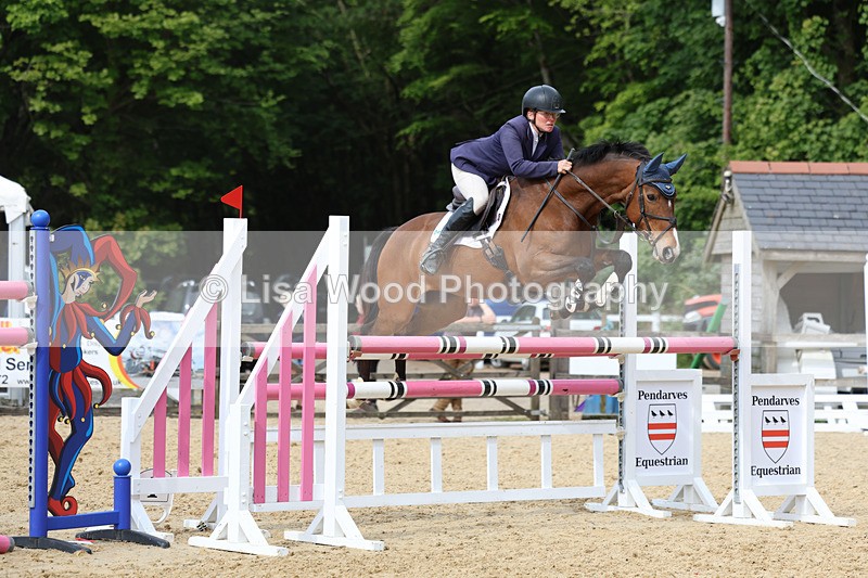 3E7A7775 - Class 8: Senior Foxhunter/1.20 open